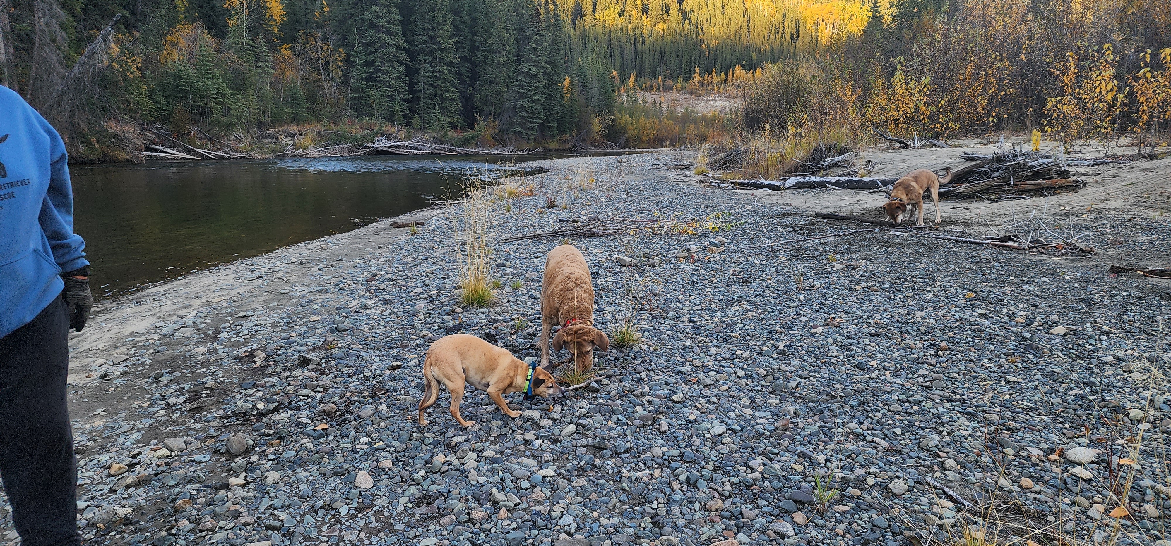 Lake Creek Campground