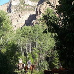 Leigh creek