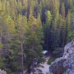 Middle fork campground bighorn nf