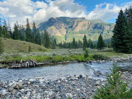 Pebble Creek Campground photo 2