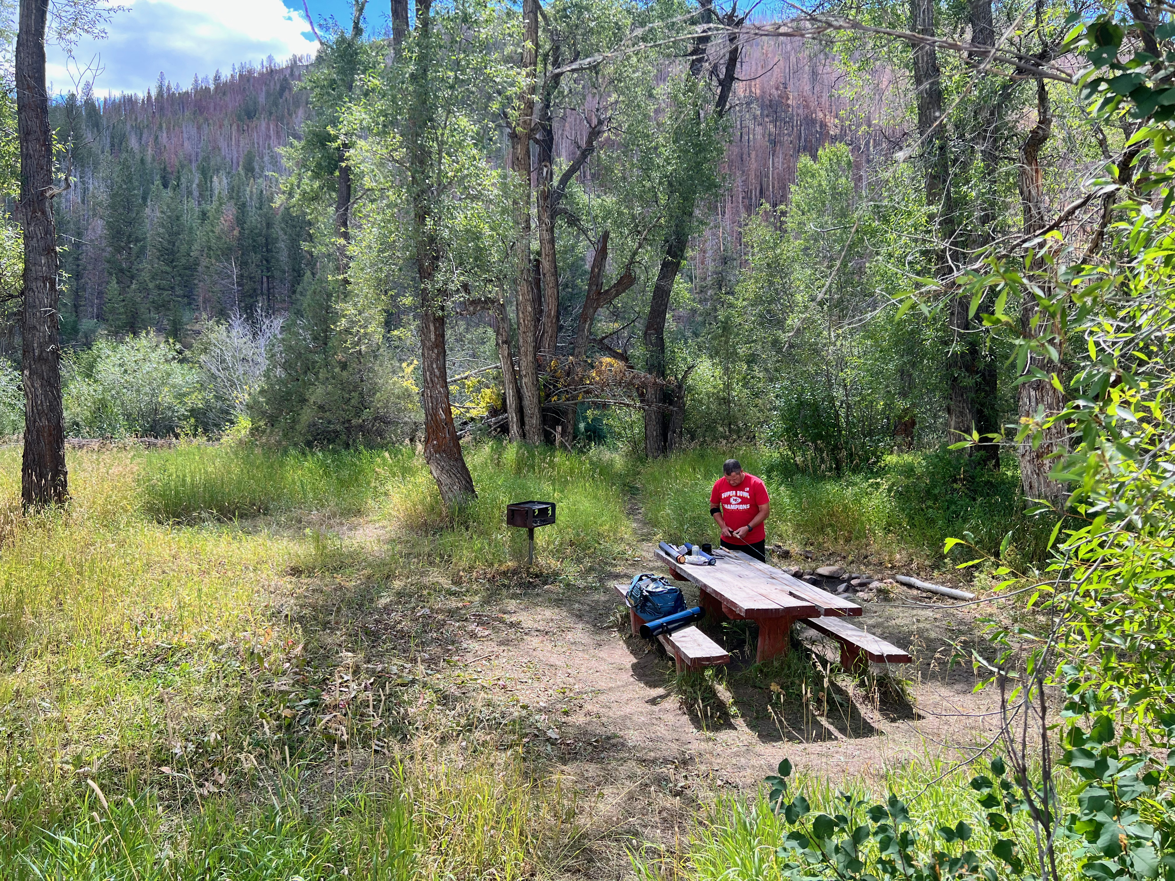 Pickaroon Campground - Main photo