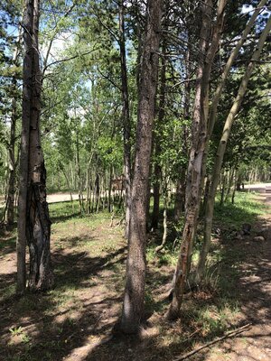 Stateline Campground photo 2