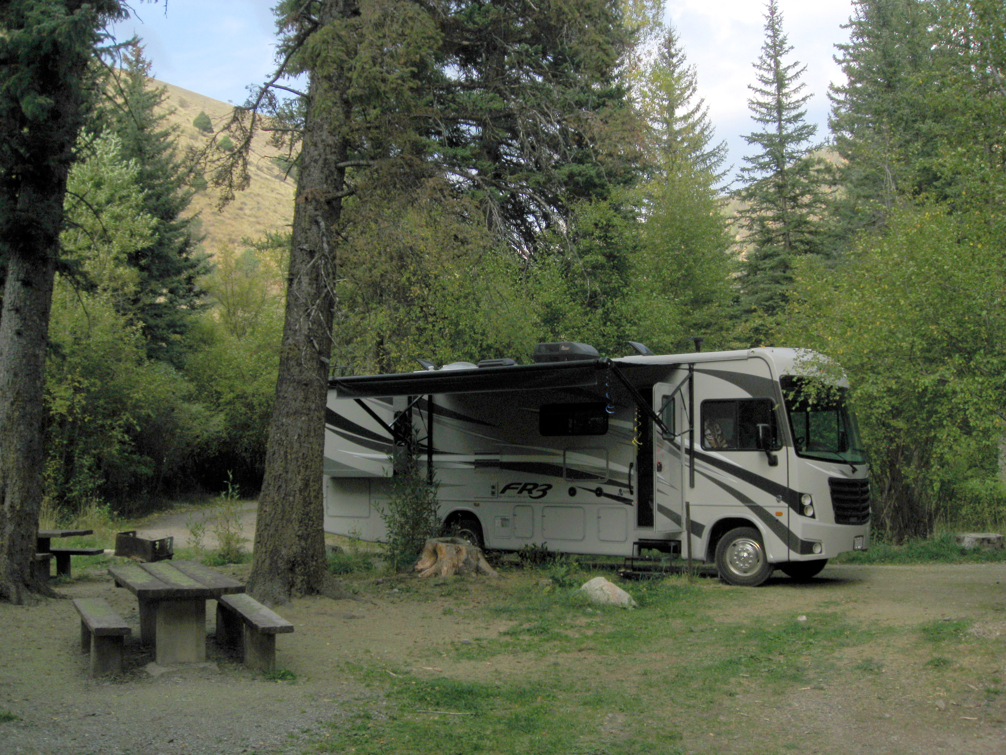 Swift Creek Campground Reviews updated 2024