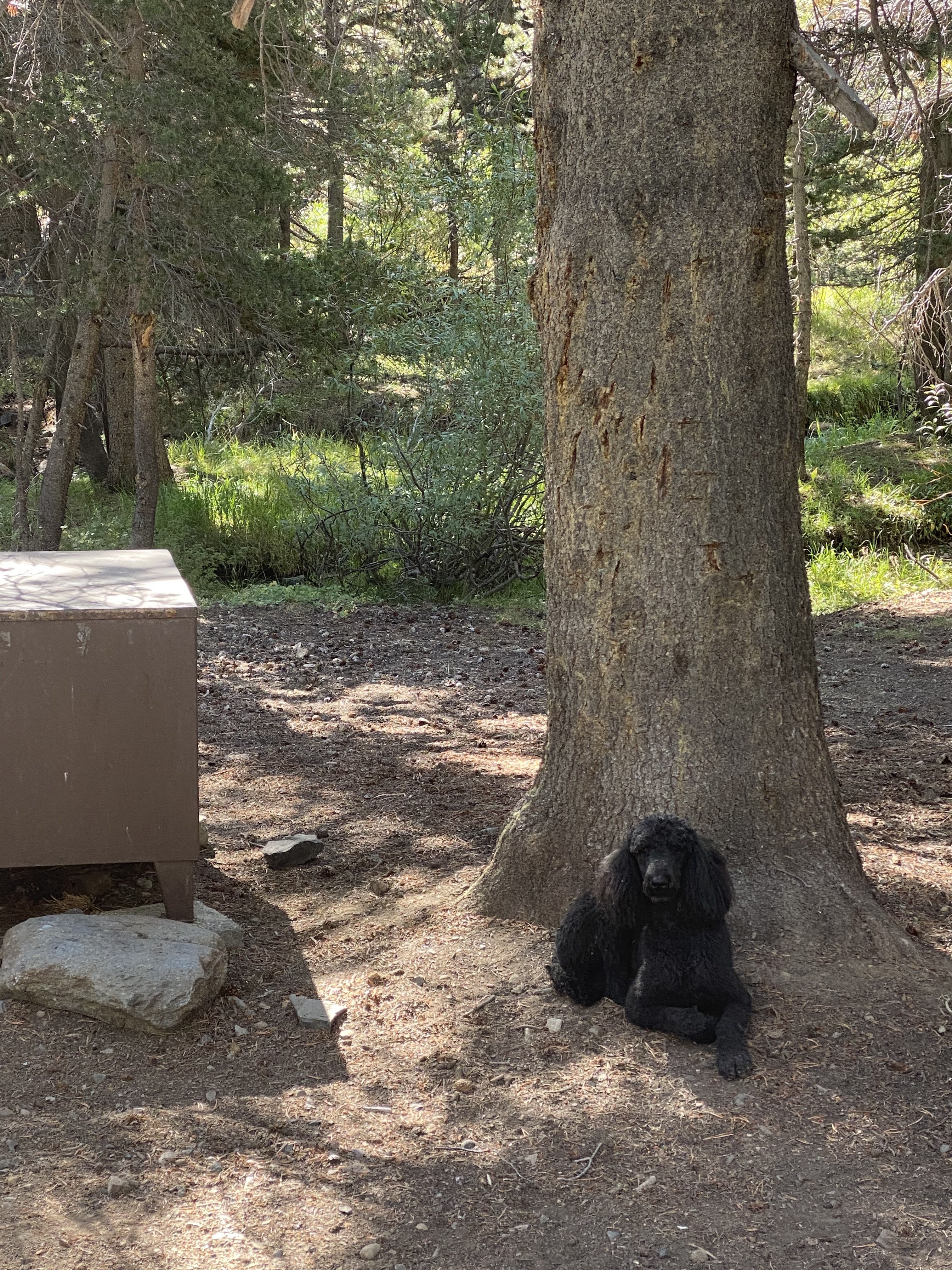 Upper Virginia Creek Campground
