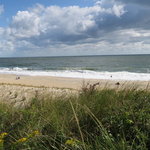 Cape henlopen state park