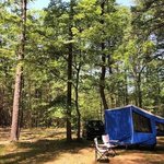 Harold parker state forest