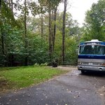 Elk neck state park