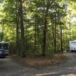 Shad landing campground pocomoke river sp