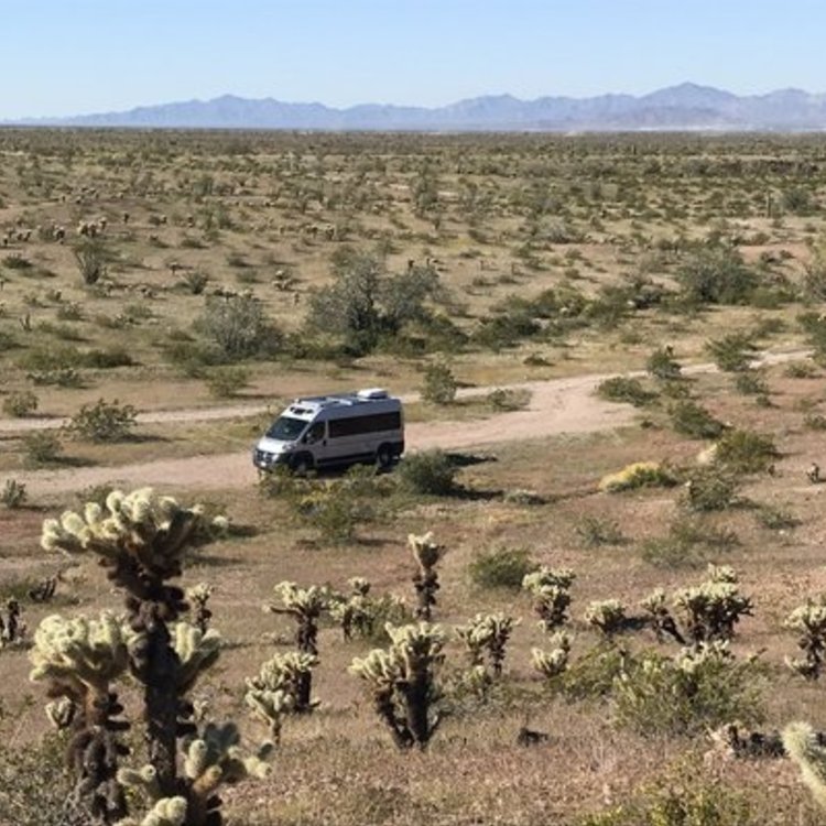 Plomosa Road Camping Area