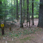 Campton