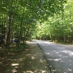 Hancock campground white mountain nf