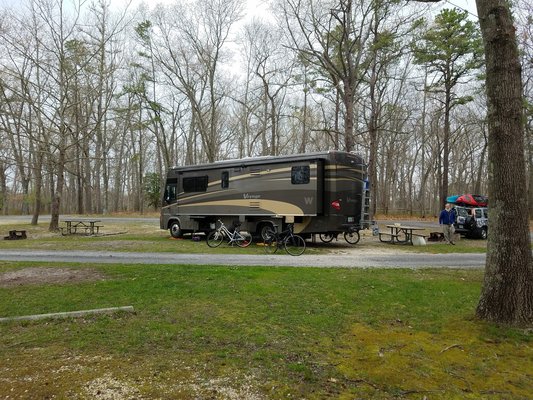 Allaire State Park Campground photo 2