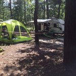Brendan byrne state forest