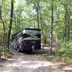 Turkey swamp park