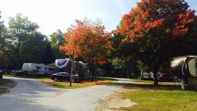 Bobolink oryzivorus dolichonyx croton Photo 2 of 2 of Croton Point Park Campground - Croton-on-Hudson, NY - Campendium