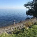 Four mile creek state park