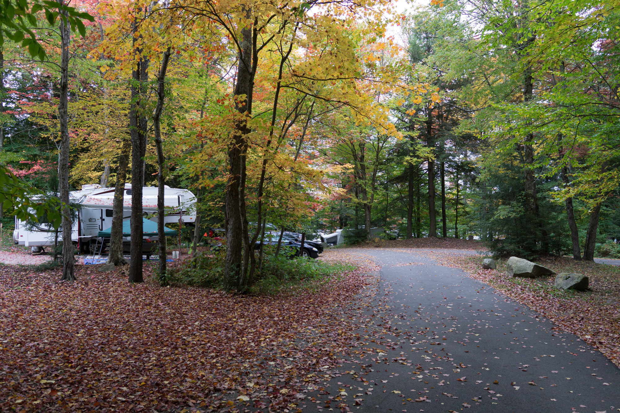 Nicks Lake Campground Reviews updated 2024