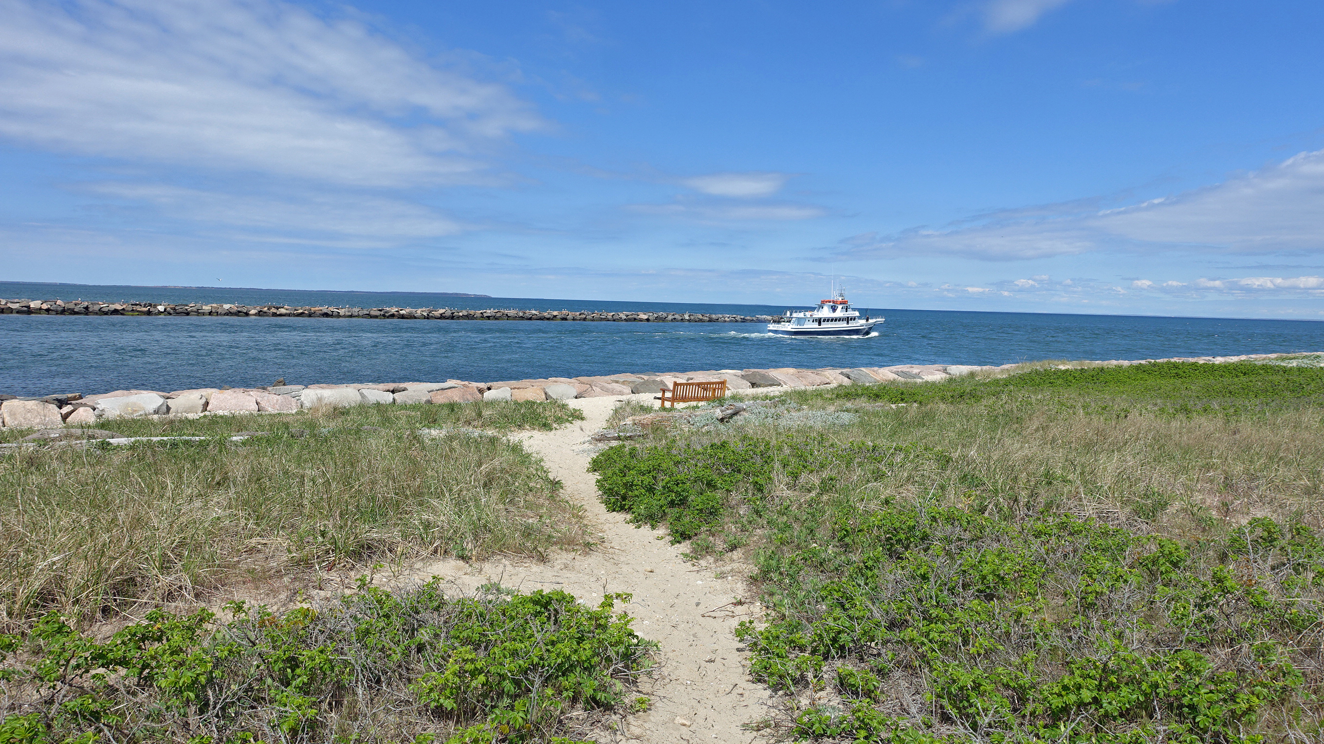 Montauk County Park Beach Camping - Main photo