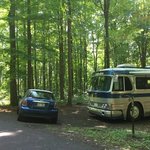 Lackawanna state park