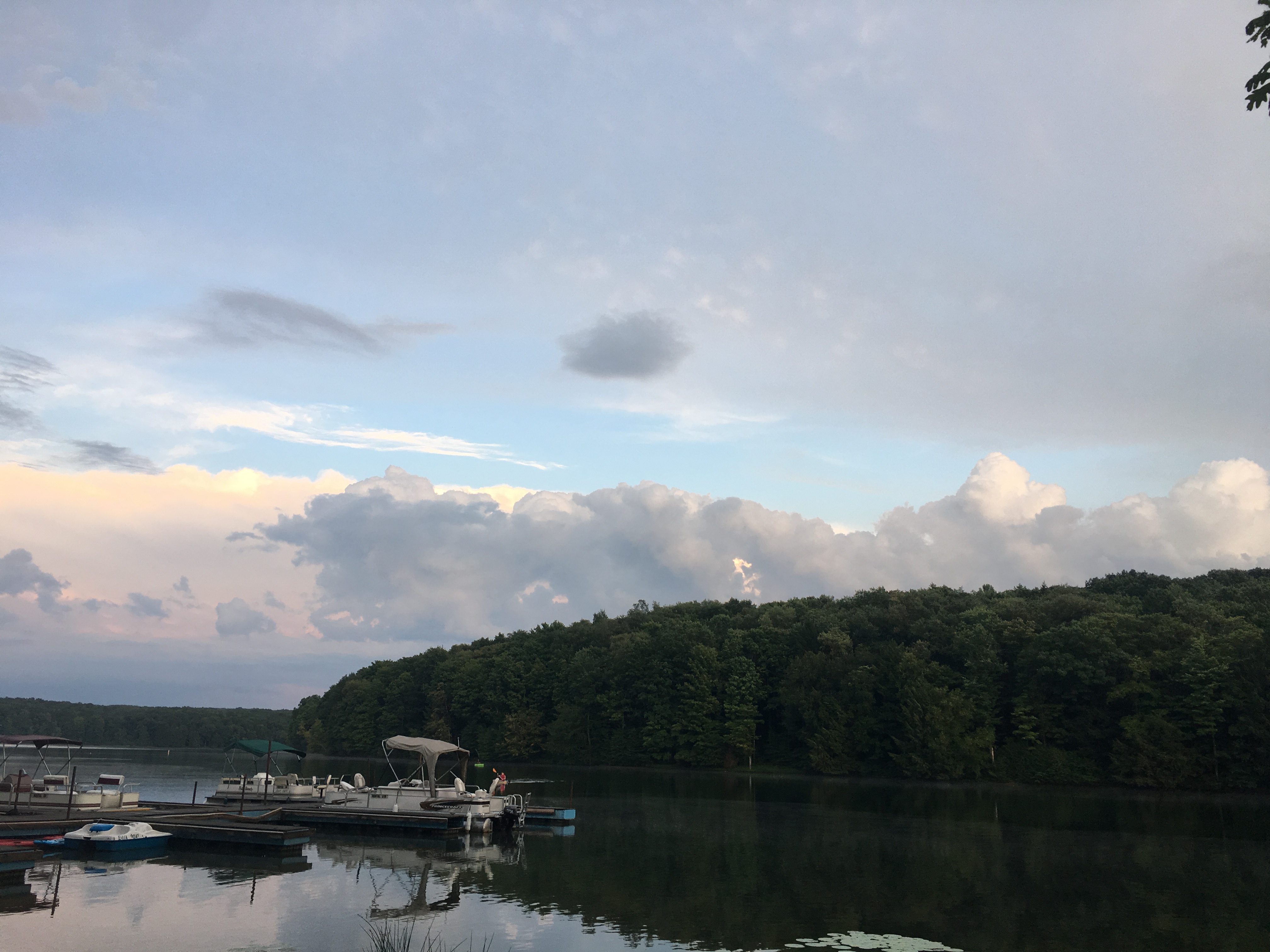 Prince Gallitzin State Park Reviews updated 2024