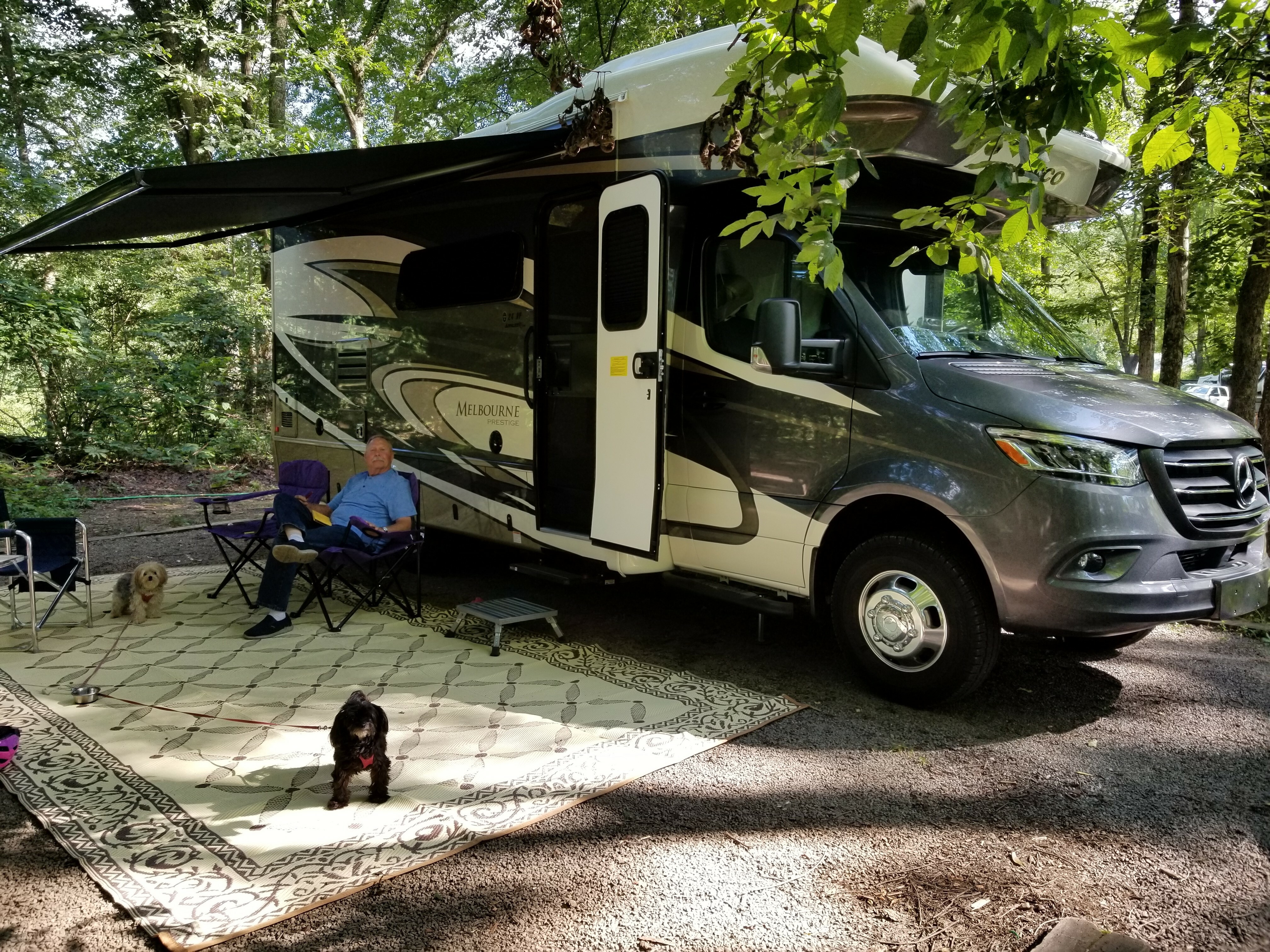 Tionesta Recreation Area Campground Reviews updated 2026