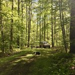 Tracy ridge rec area