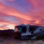 Joshua tree south