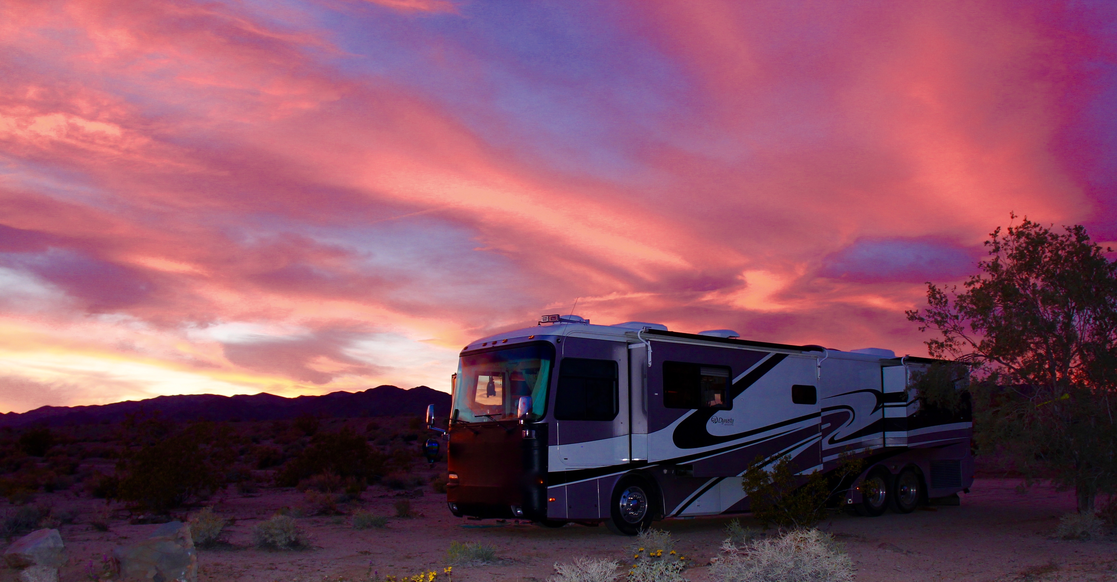 Joshua Tree South Dispersed Camping
