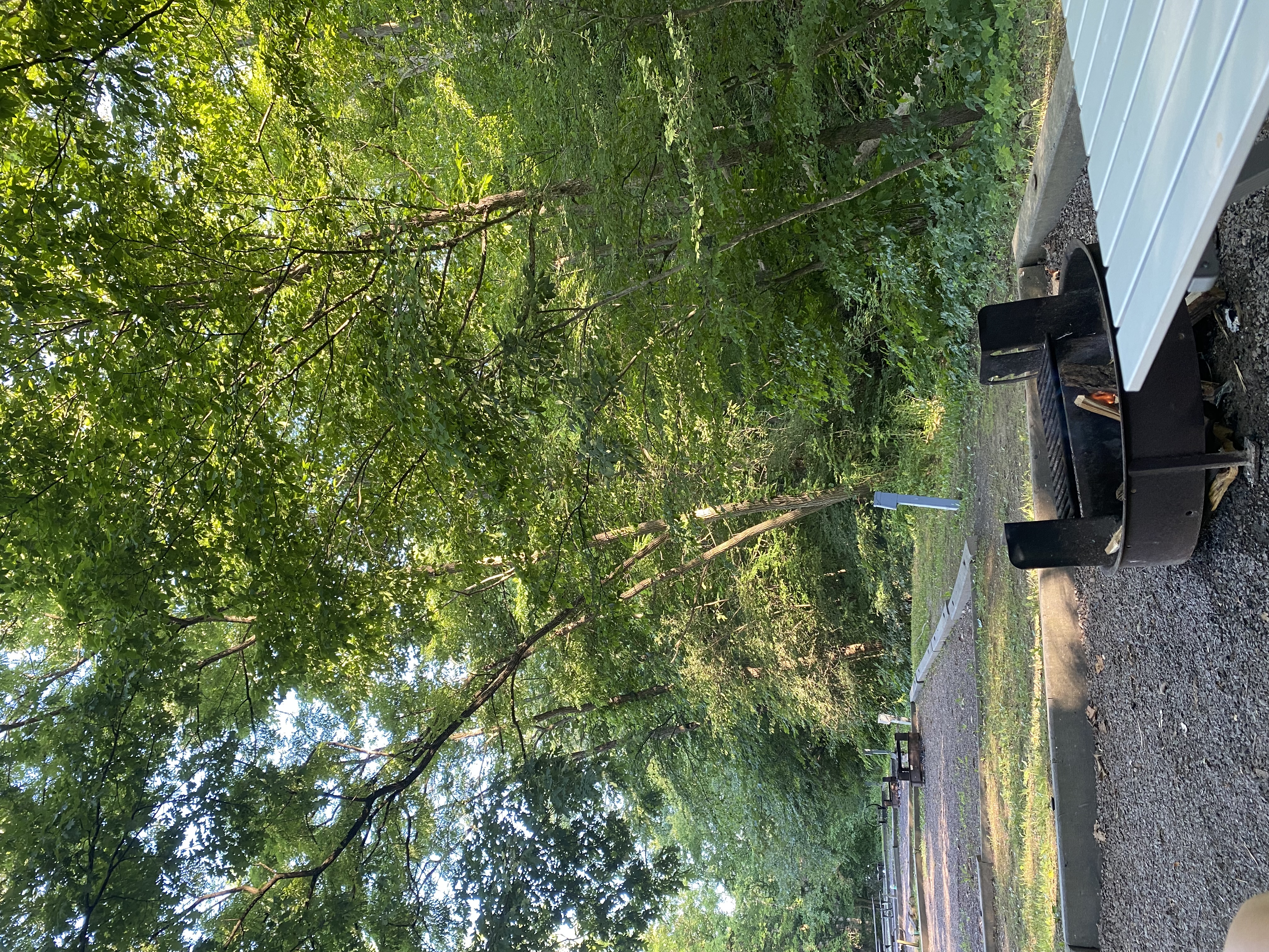 Yough Lake Campground Reviews updated 2026