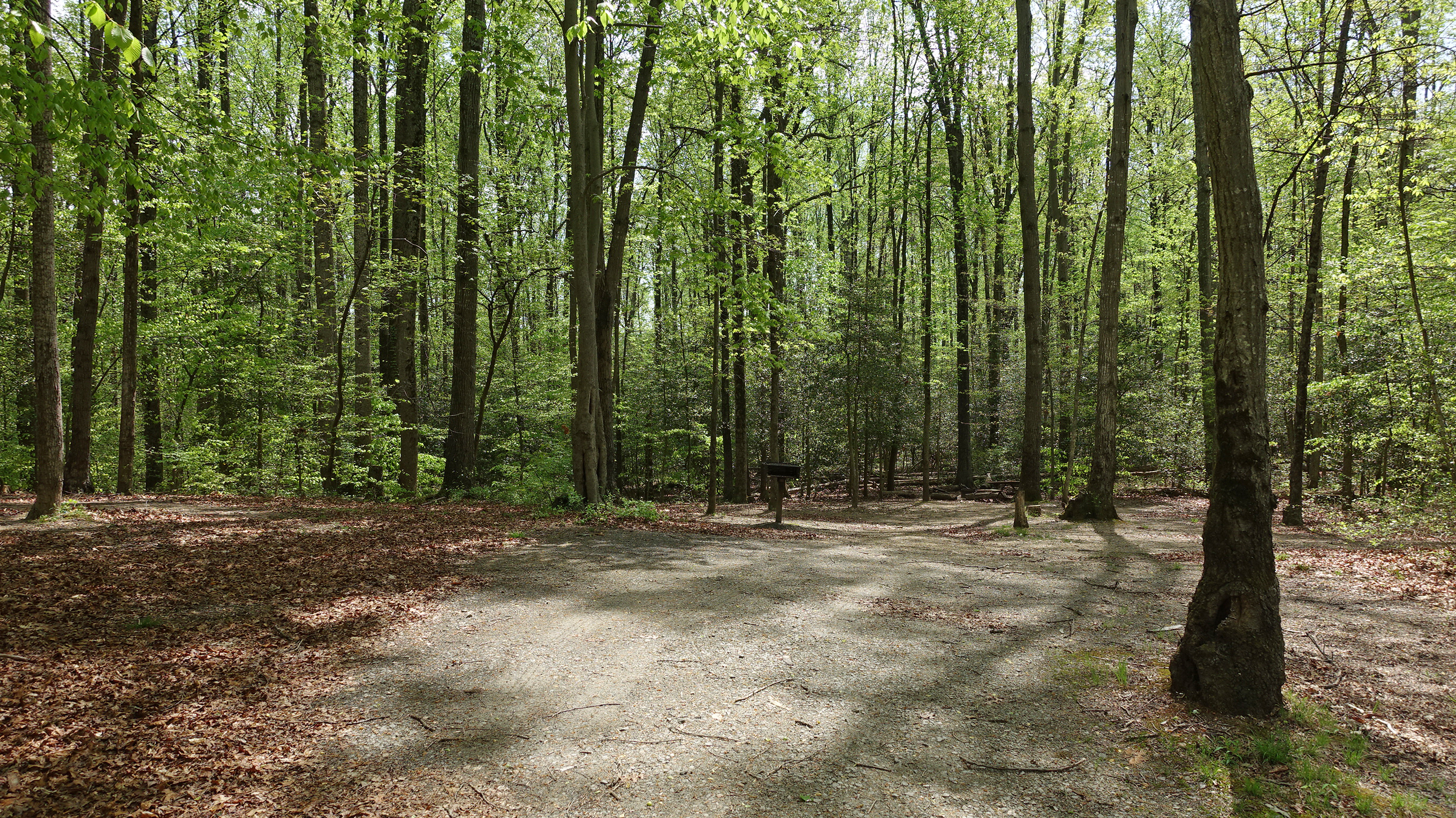 Photo of Burke Lake Park Campground | Roadtrippers