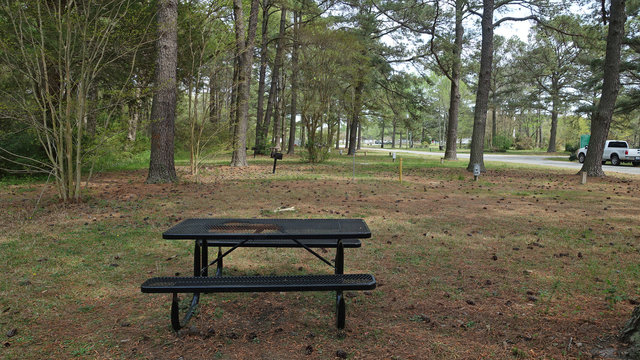 Gosnold's Hope Park Campground photo 2
