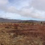 Grayson highlands state park