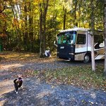 Lake fairfax park