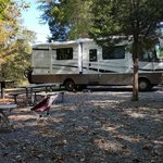 Longwood park campground
