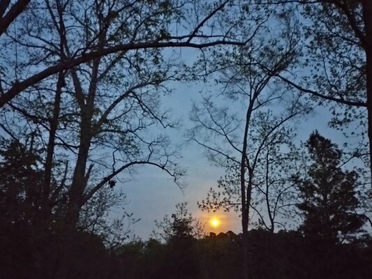Occoneechee State Park Campground