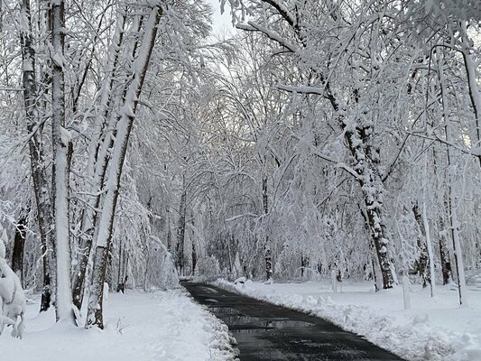 Pohick Bay Regional Park Campground