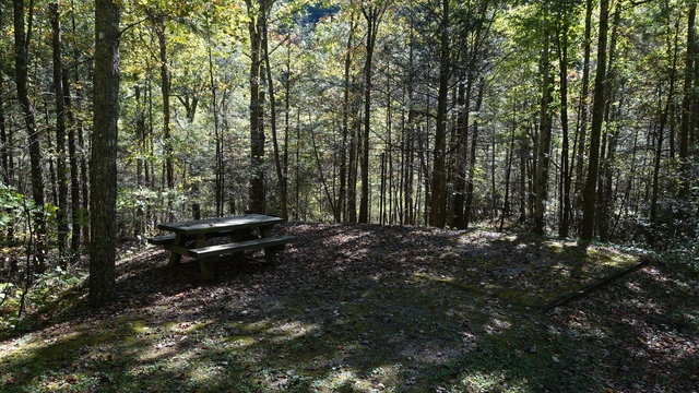Raven Cliff Campground photo 2