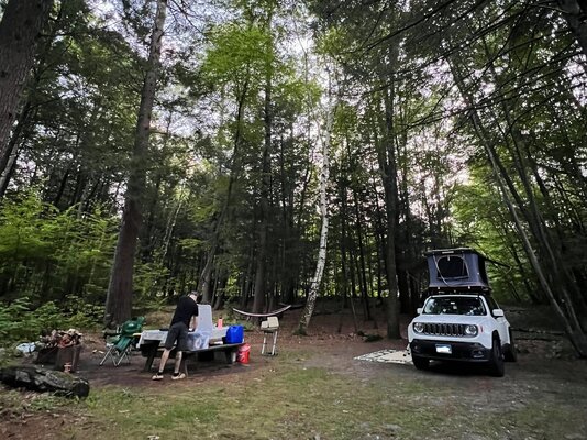Fort Dummer State Park Campground photo 2