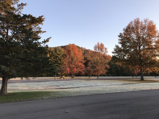 Beech Fork State Park Reviews