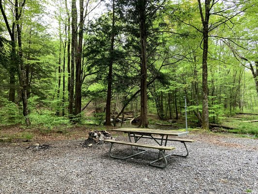Island Campground photo 2