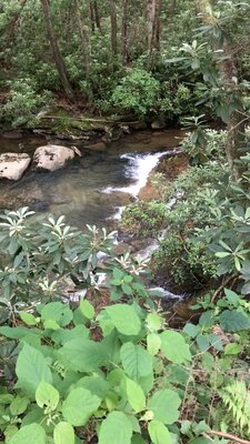 Kumbrabow State Forest Campground photo 2