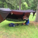 Laurel fork