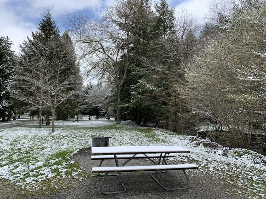 Laurel Fork Campground