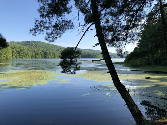 Meadow Creek Look Camping Area photo 2