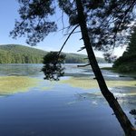 Meadow creek lake sherwood