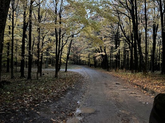Red Creek Campground photo 2