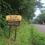 Tea creek
