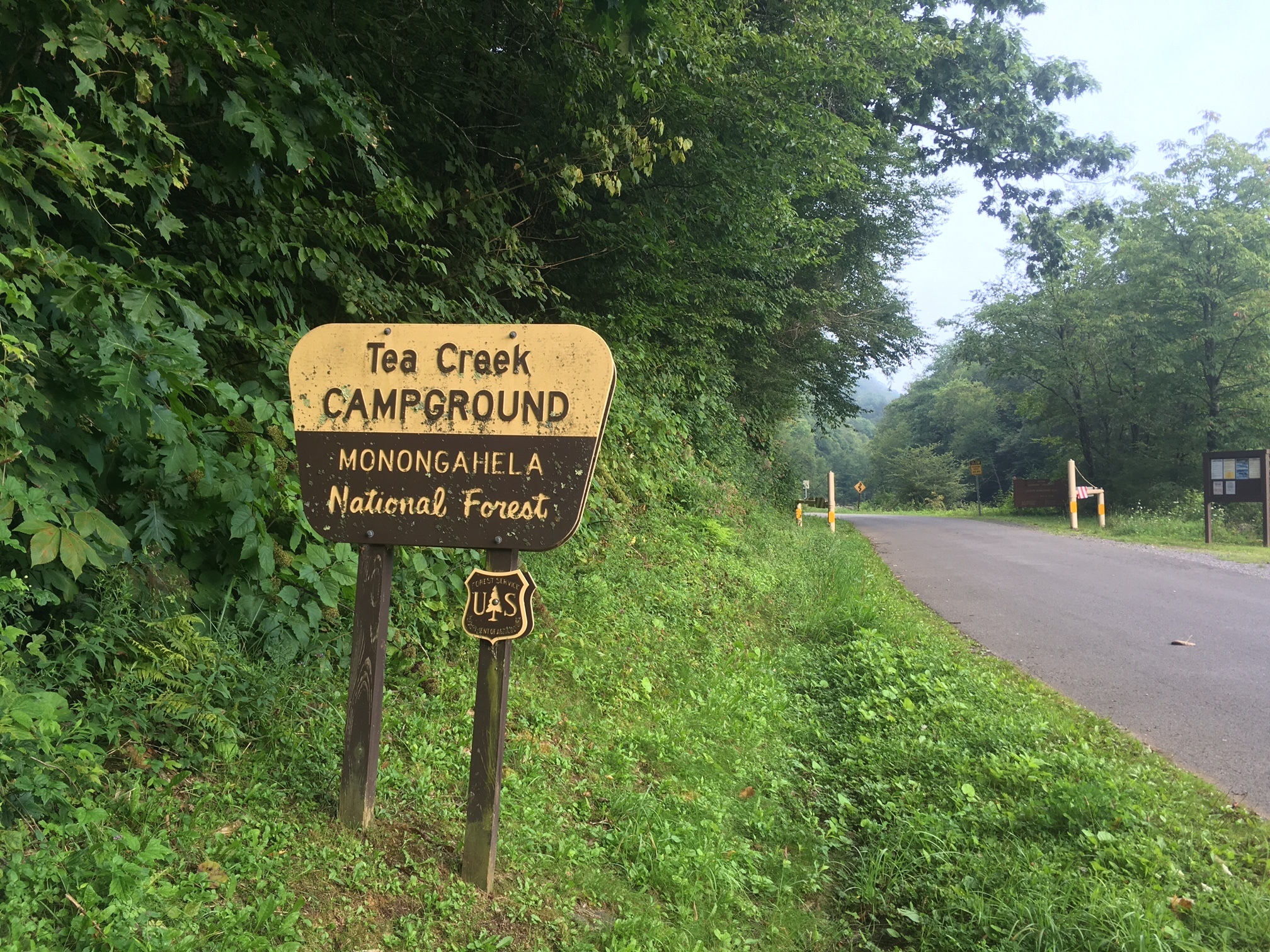 Tea Creek Campground Reviews updated 2024