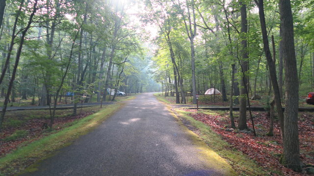 Trout Pond Campground photo 2