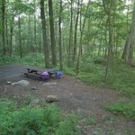 Wolf gap
